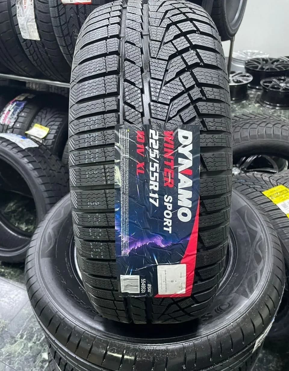 Dynamo Winter Sport 225/55 R17 101V XL