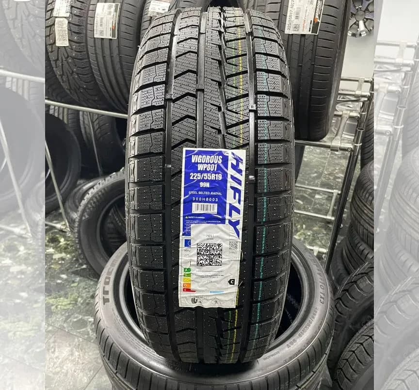 Hifly Vigorous WP801 225/55 R19 99H