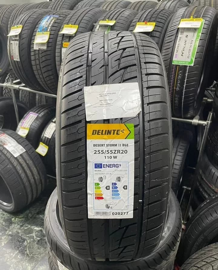 Delinte DS8 Desert Storm II 255/55 R20 110W