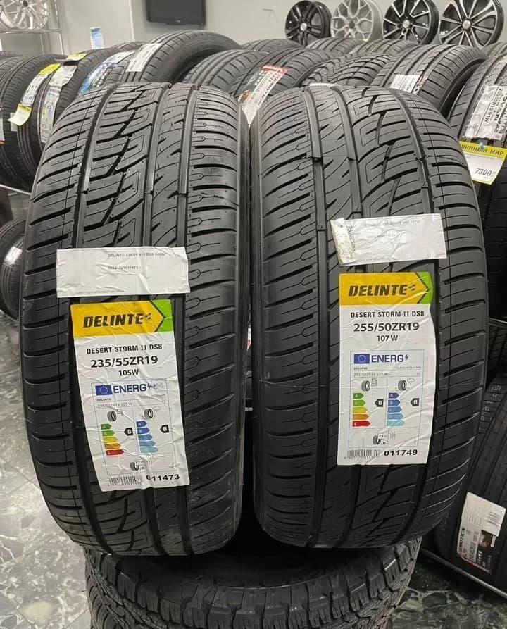 Delinte DS8 Desert Storm II 235/55 R19 и 255/50 R19 107W